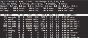 nginx-top